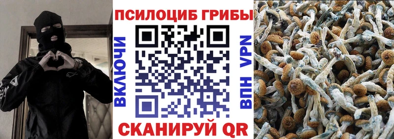 Псилоцибиновые грибы Cubensis  Купить где  Опочка 